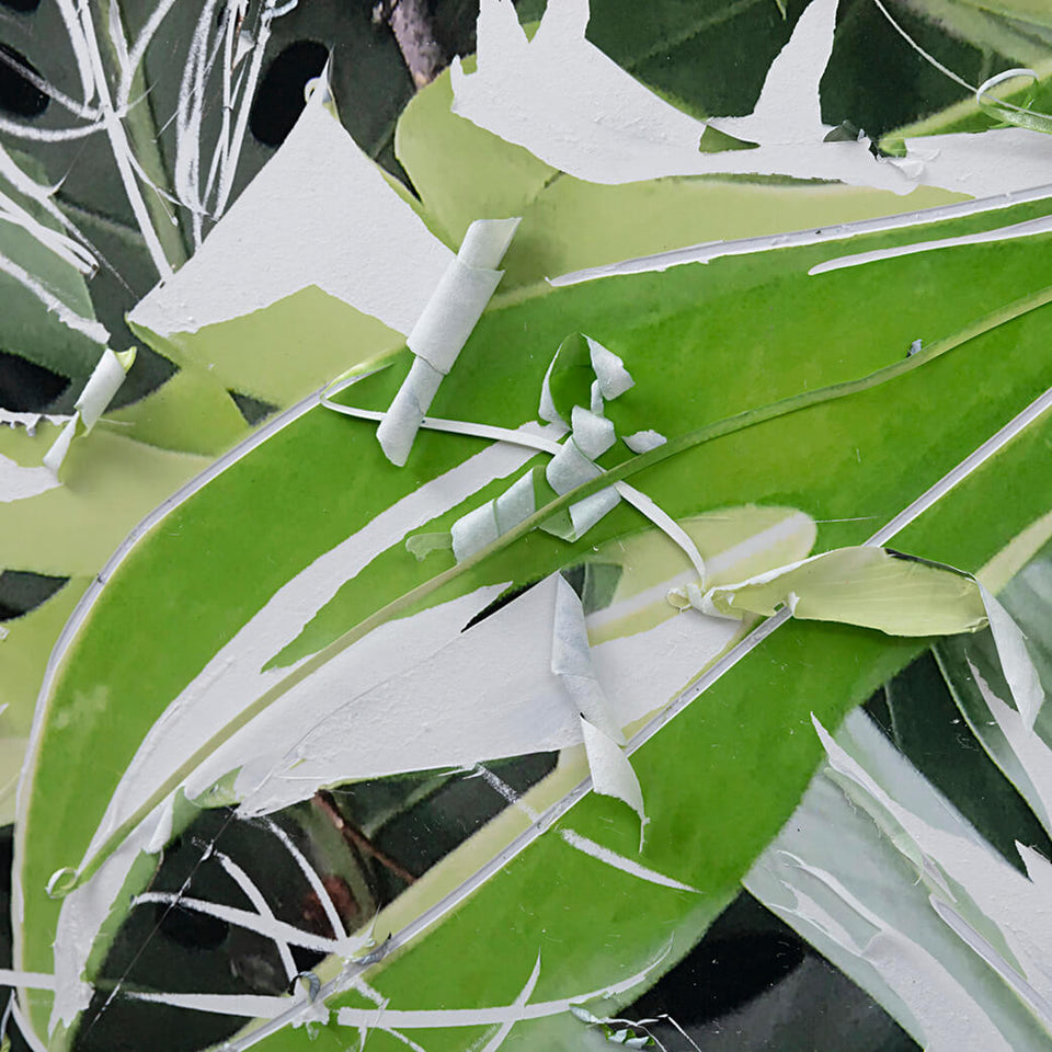 Rosângela Dorazio, Sem título