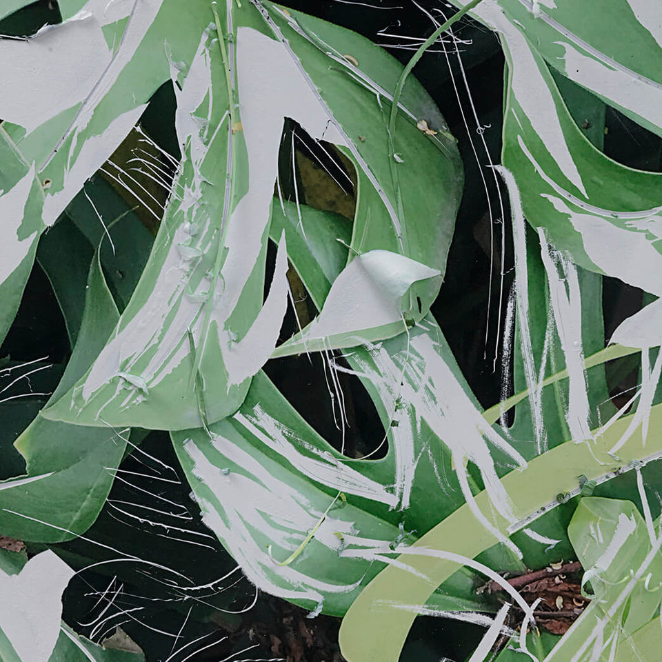 Rosângela Dorazio, Sem título