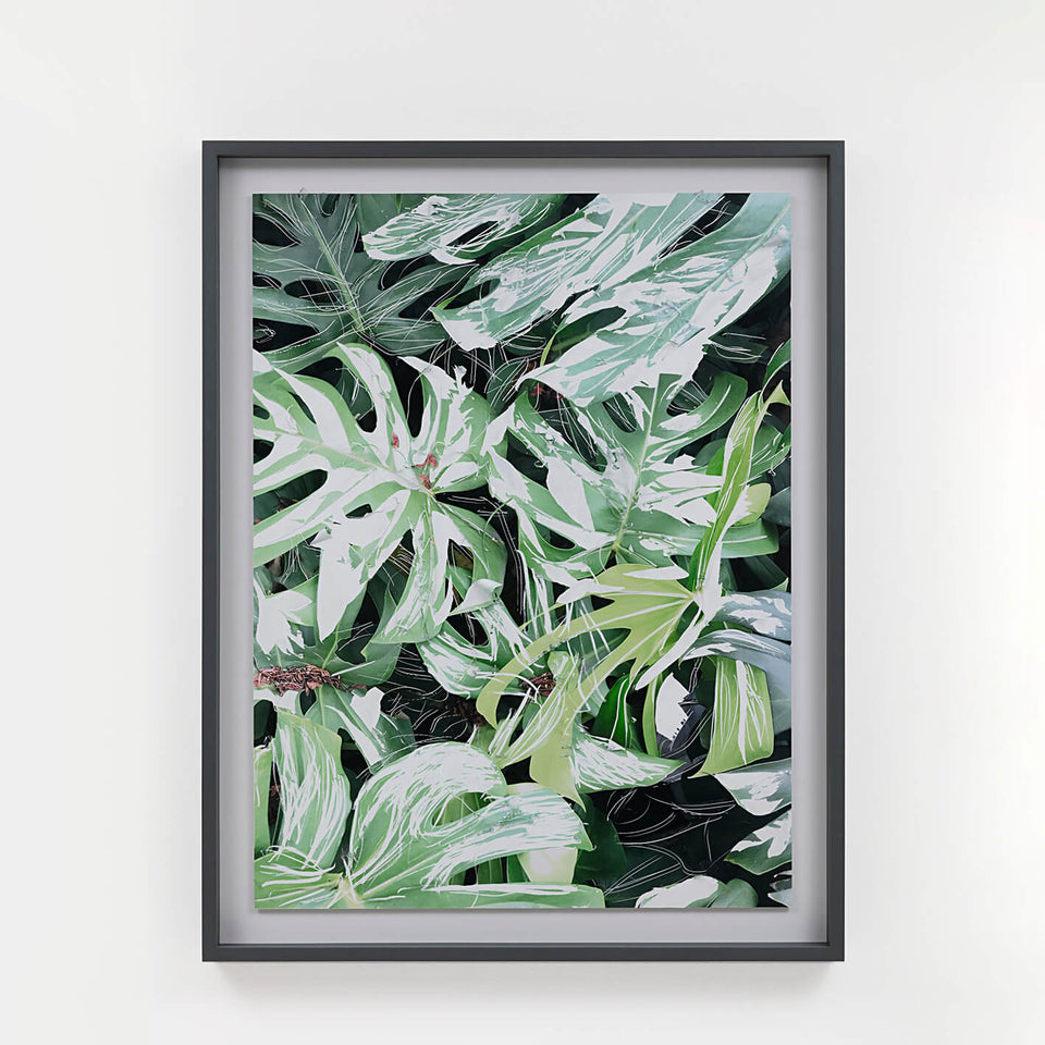 Rosângela Dorazio, Sem título