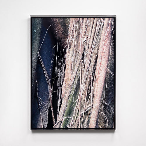 Liana III - Carbono Galeria