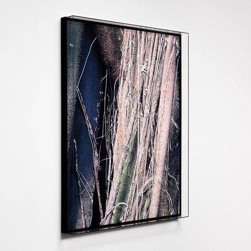 Liana III - Carbono Galeria