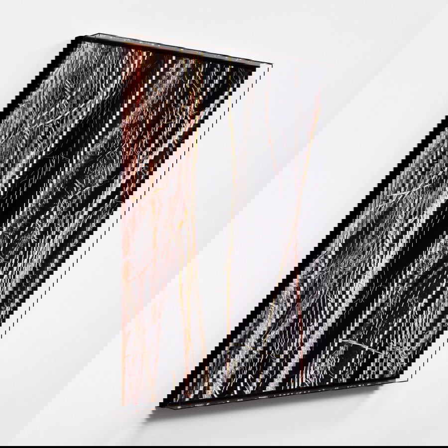 Liana I - Carbono Galeria