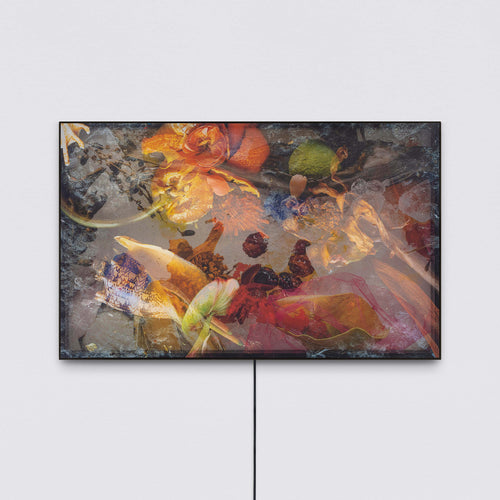 The translucent matter of the image