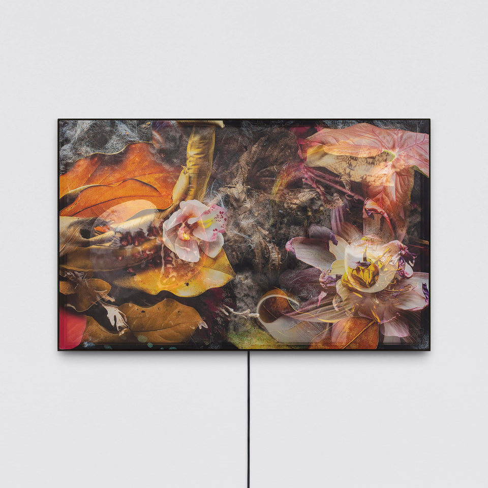 The translucent matter of the image