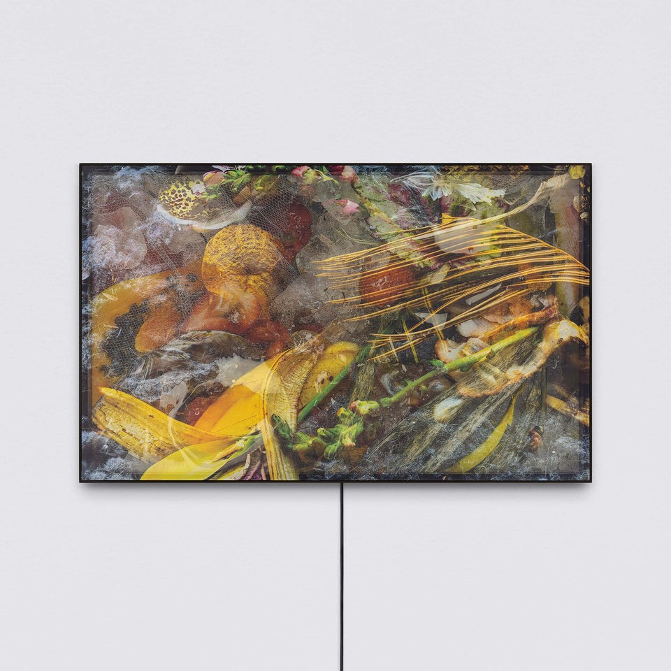 The translucent matter of the image