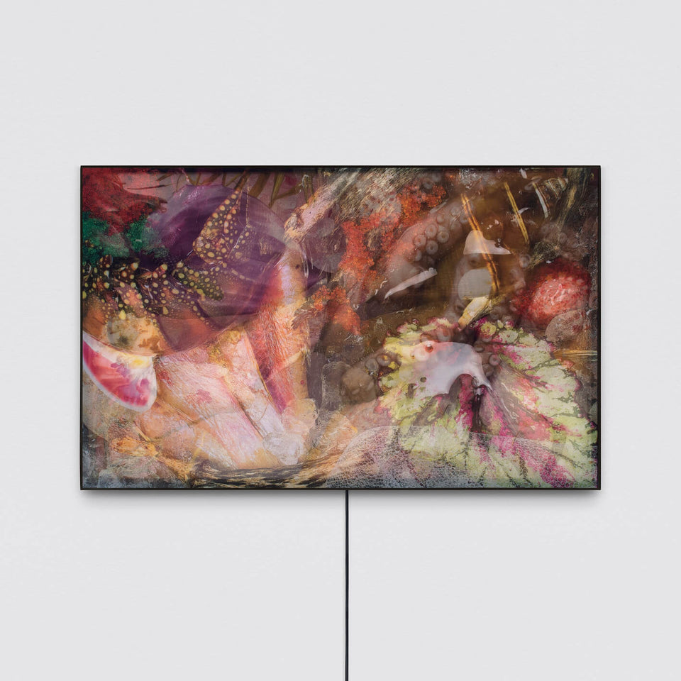 The translucent matter of the image