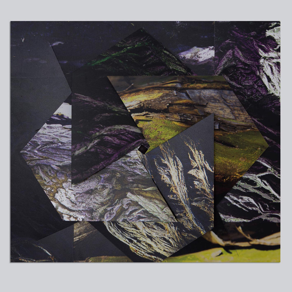 Sem título, Carlos Vergara