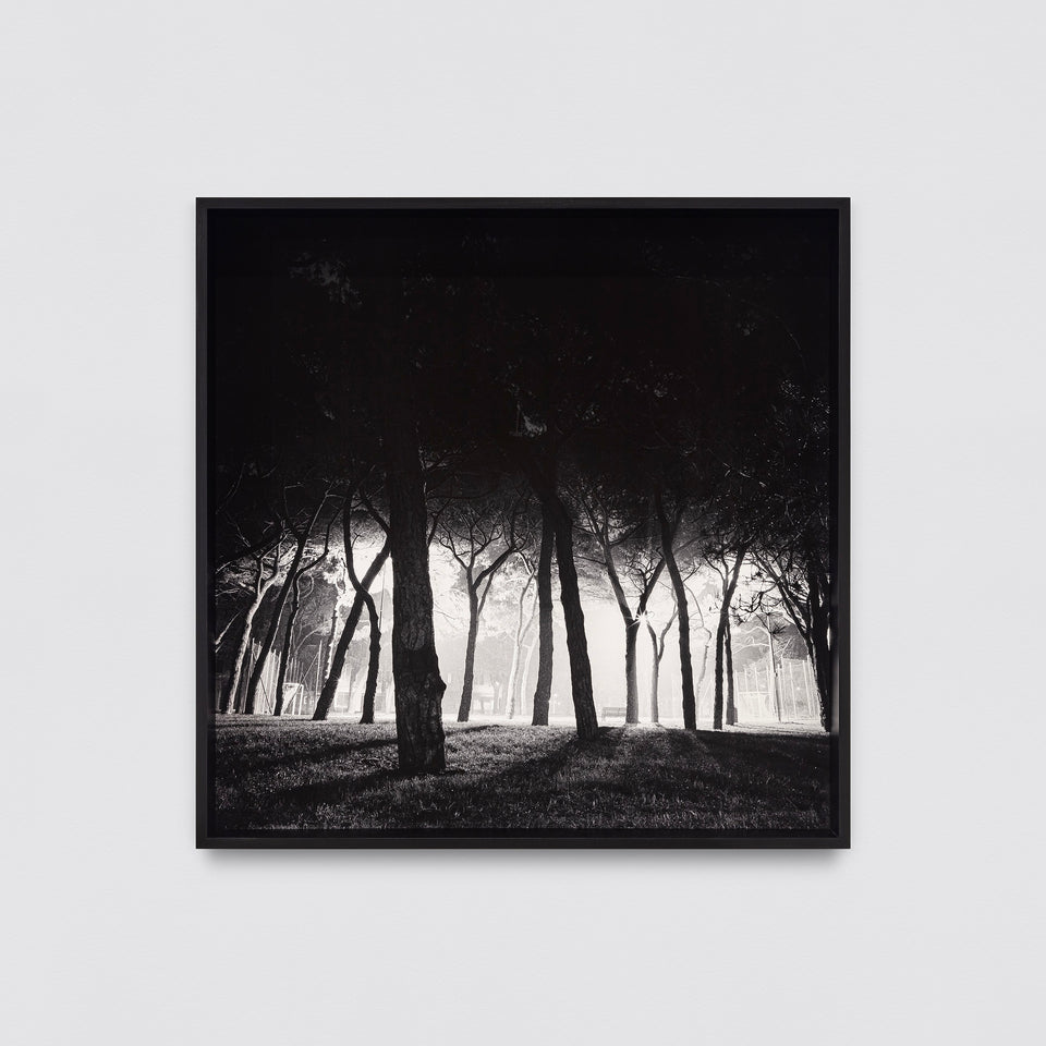 Sant’Elena - Luiza Baldan