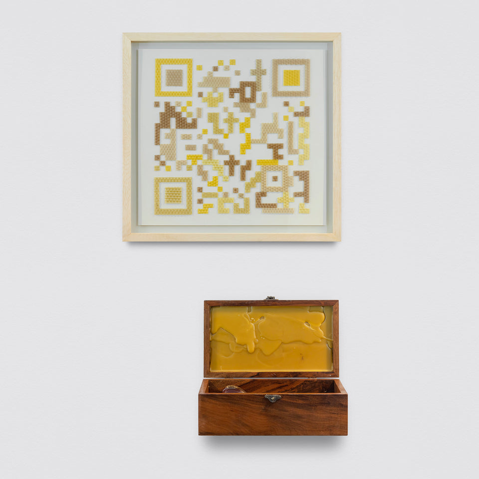 Projeto polinização - Siri