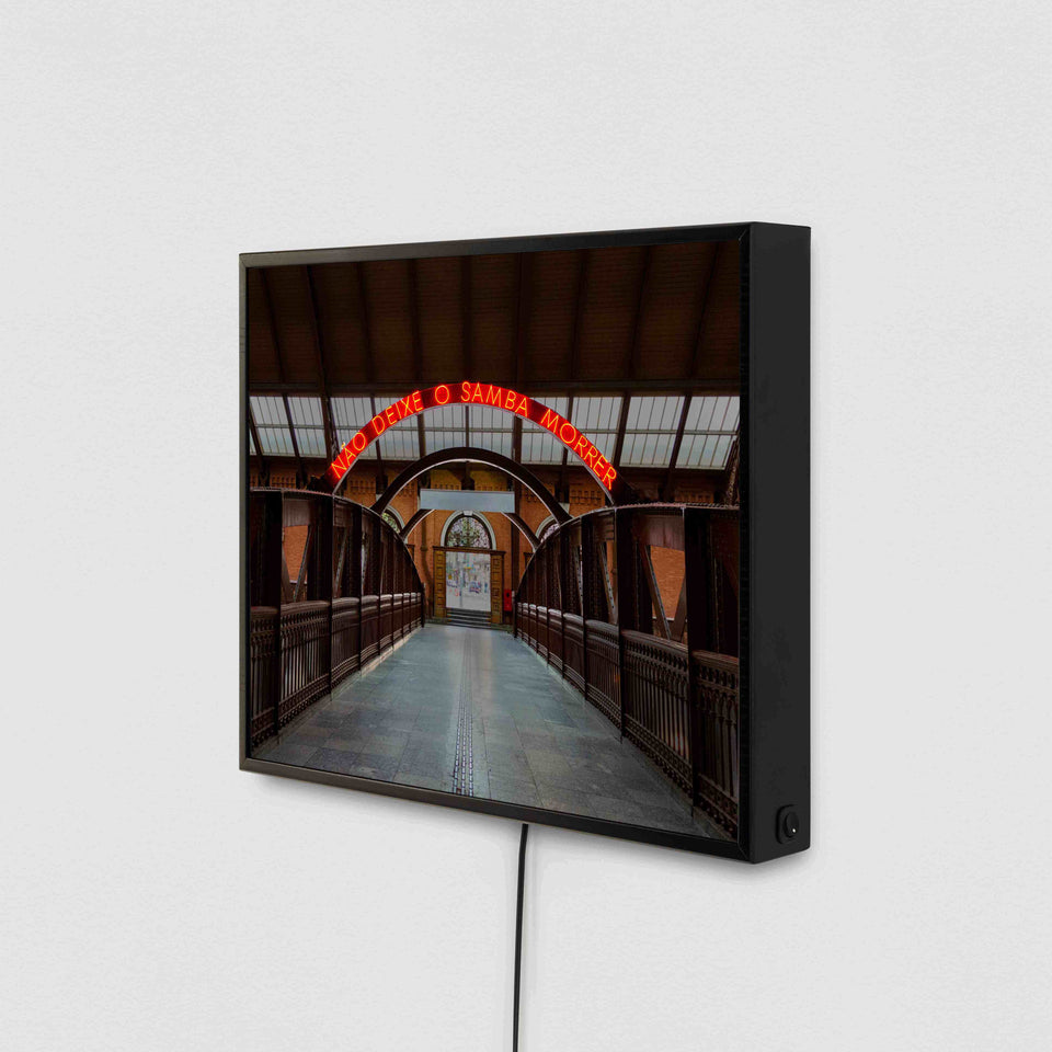 Não Deixe o Samba Morrer/Acabar, da série Samba Exaltação