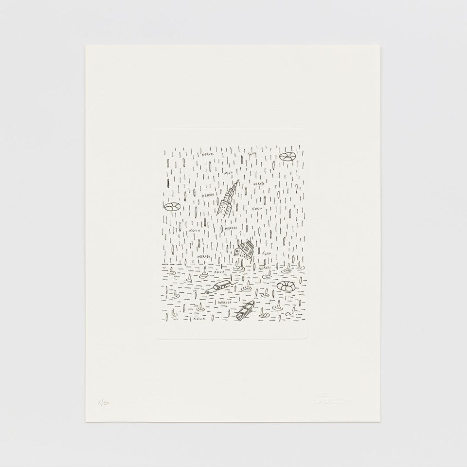 Projeto Leonilson Trinta Anos