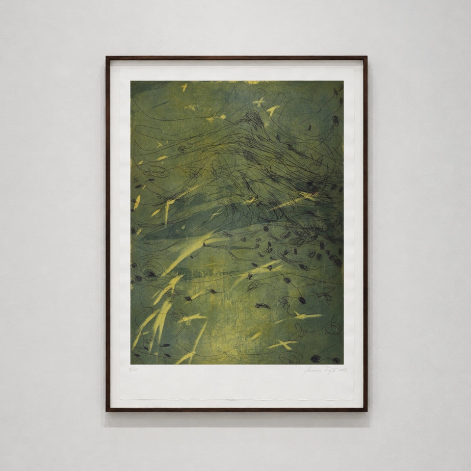 Variation for landscape
