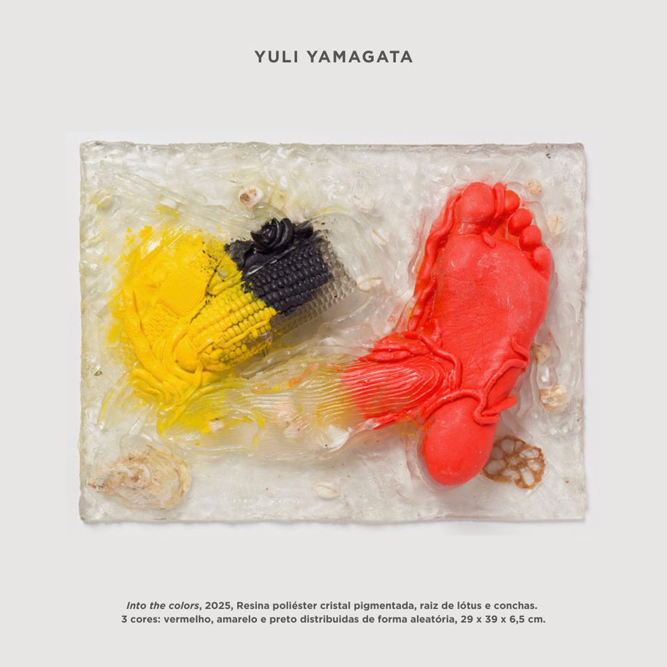 Edição Especial | Pinacoteca 120 anos