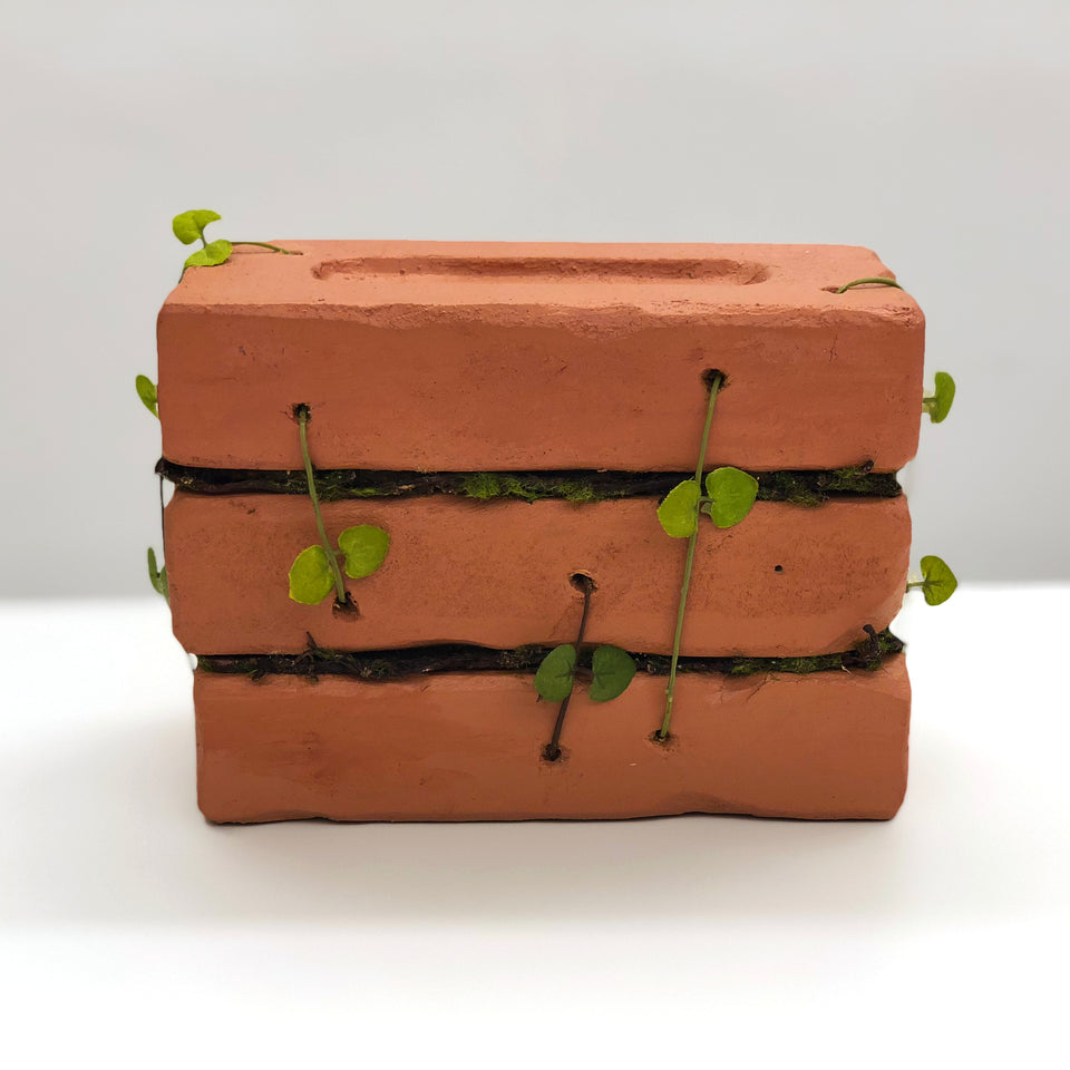 Camille Kachani, Sem título