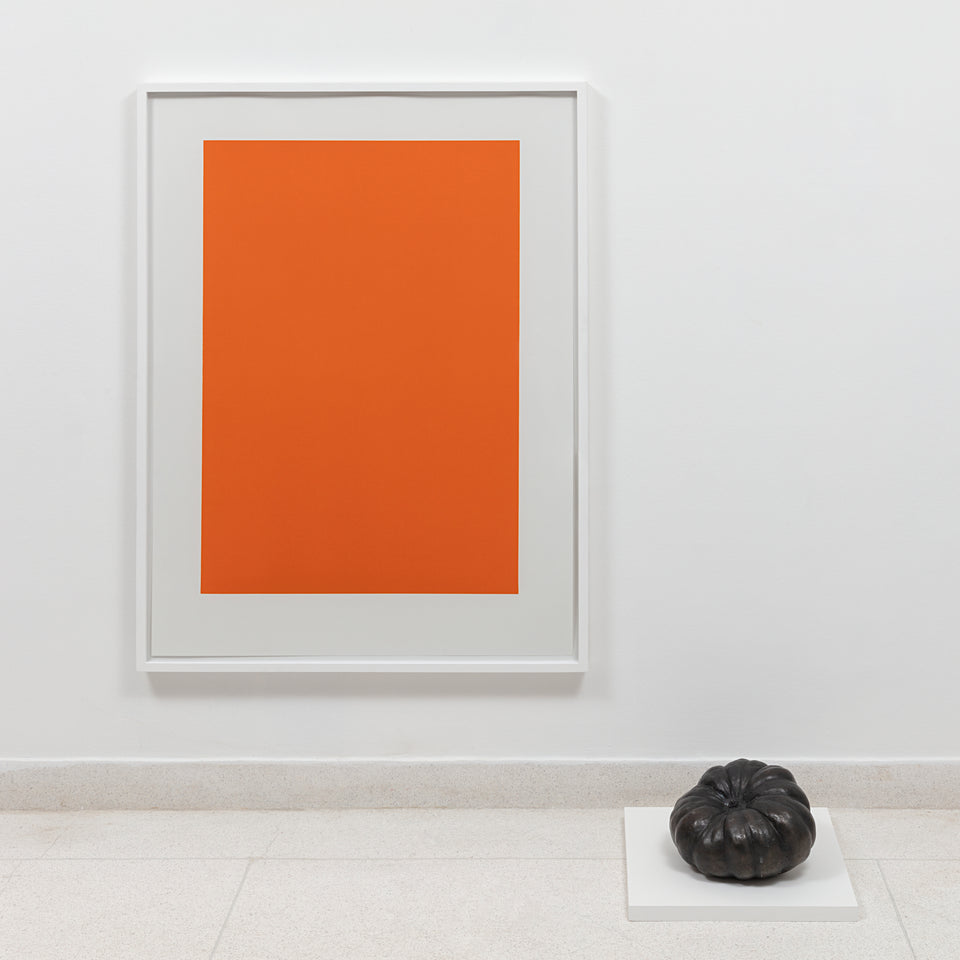 Carlos Nunes, objeto acrômico (abóbora)