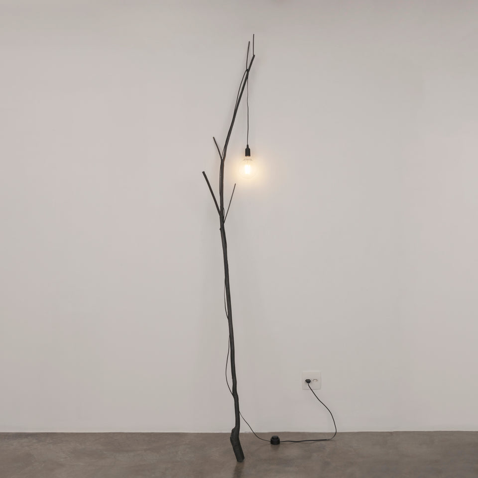 Daniel Senise, Luminária Parque Lage