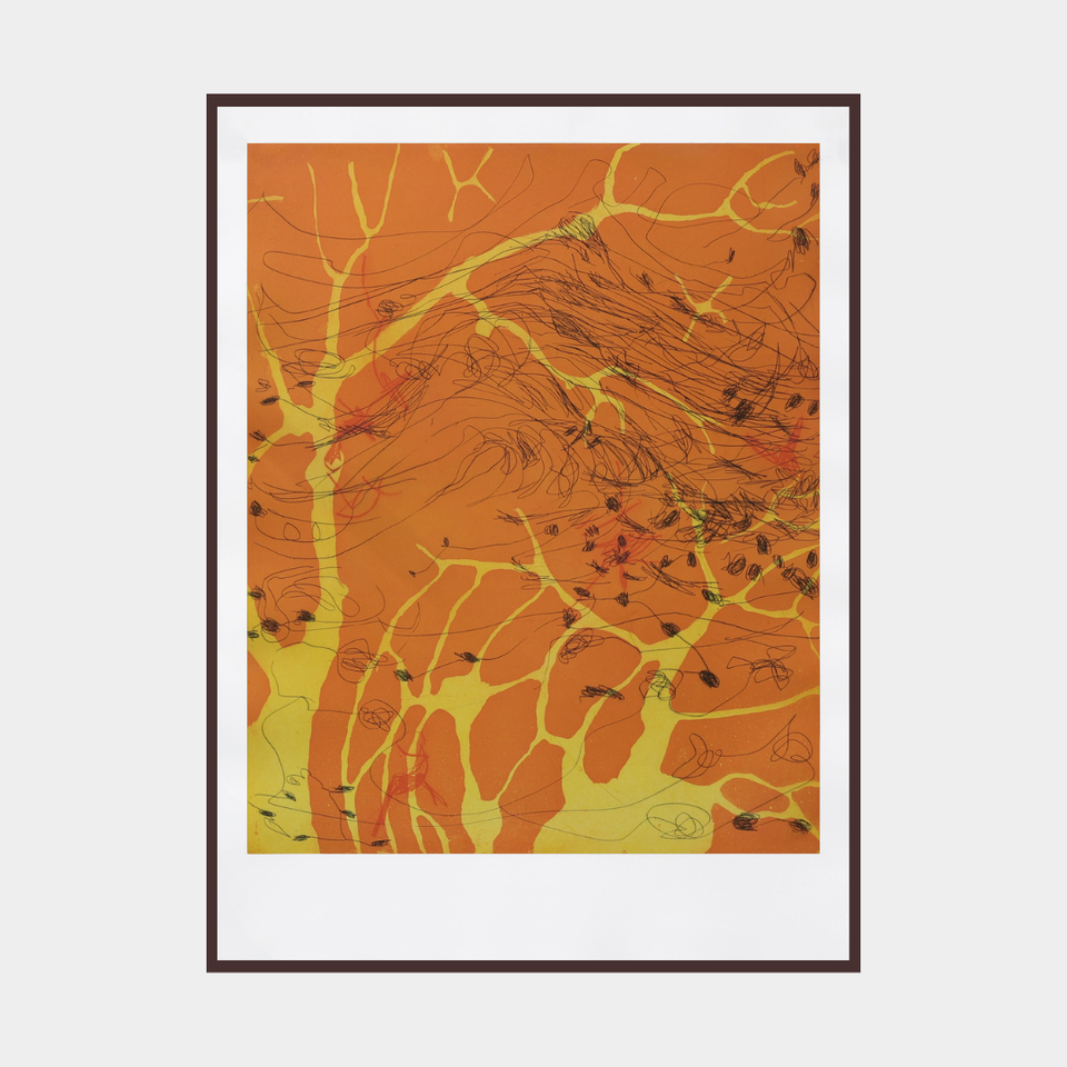 Variation for landscape