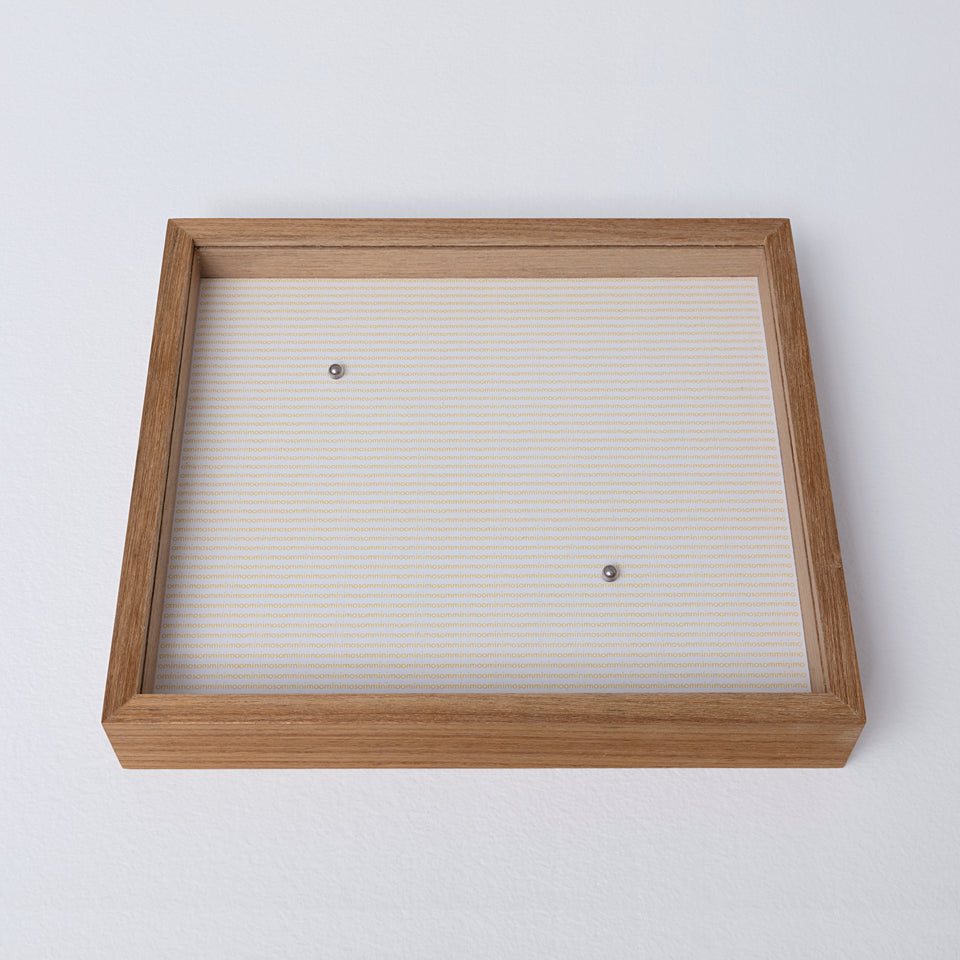 Lenora de Barros, Mínimo Som