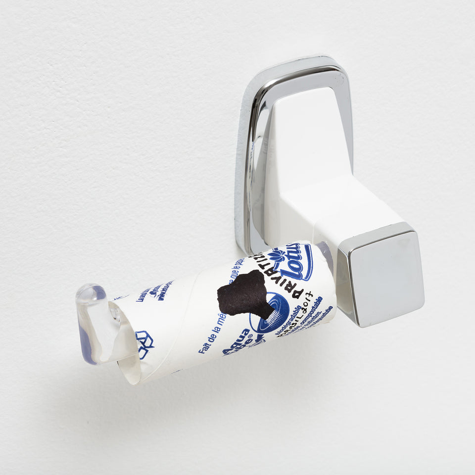 Paulo Bruscky, PrivatizAções