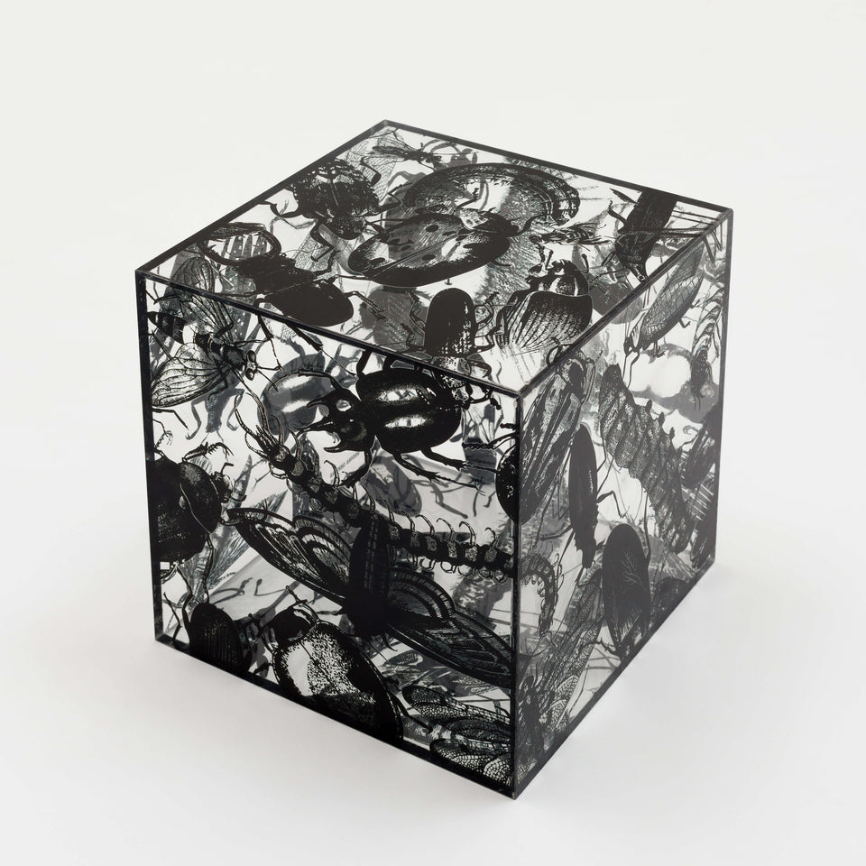 Regina Silveira, NINHO (black)