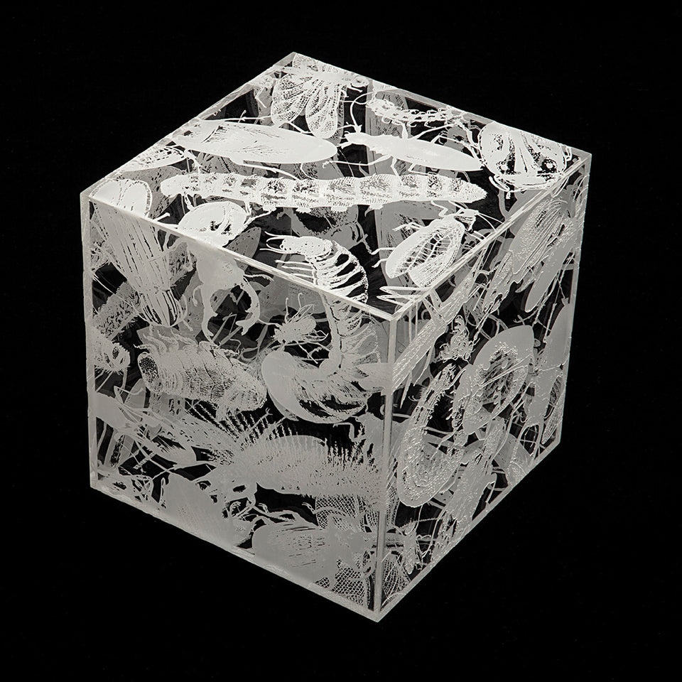 Regina Silveira, NINHO (white)