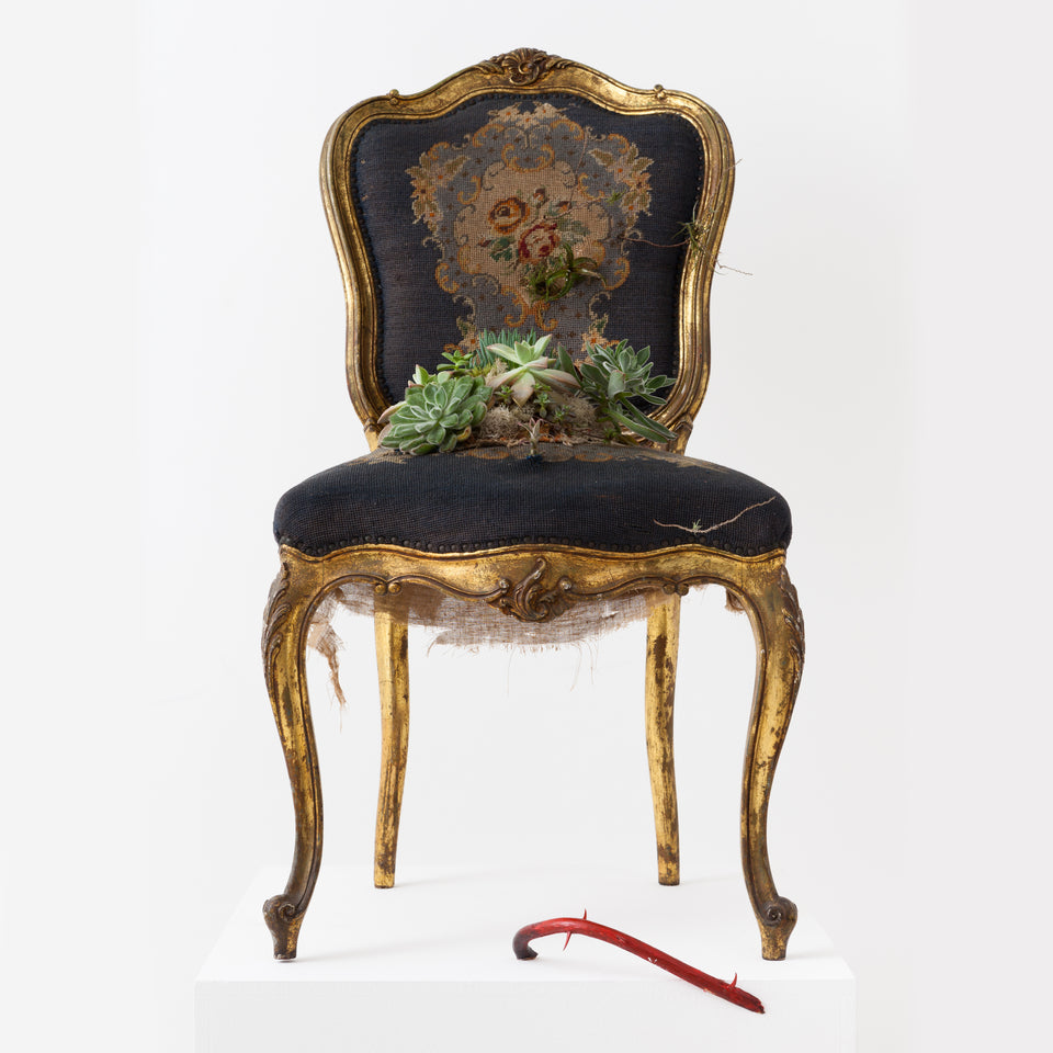 Rodrigo Bueno, Tout confort (da série mobília tomada)