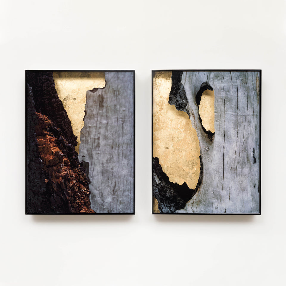 Fernanda Naman, Sem título