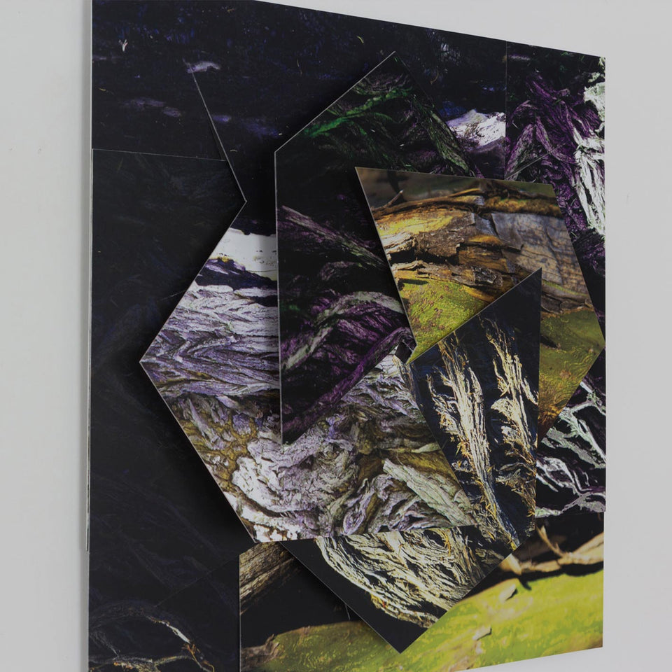 Sem título, Carlos Vergara