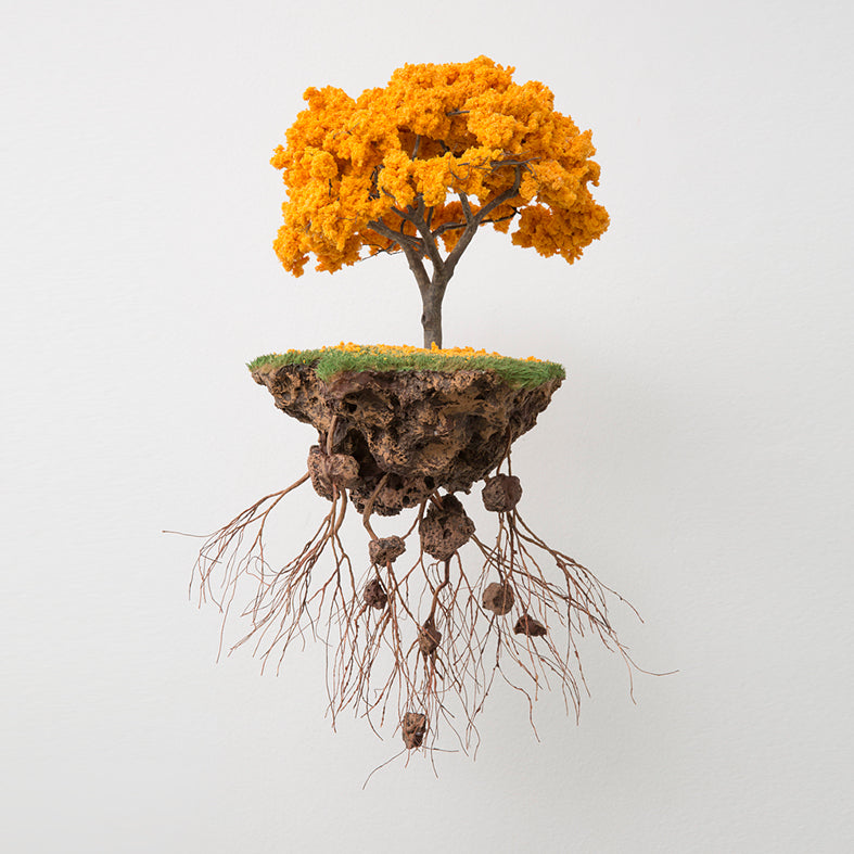 Jorge Mayet, Sem título