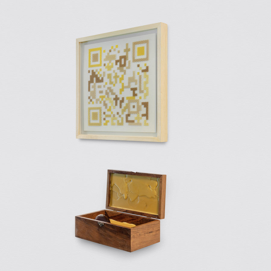 Projeto polinização