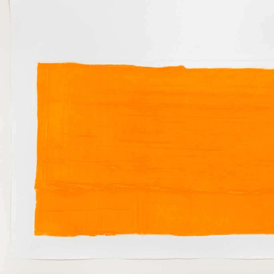 Célia Euvaldo, Sem título