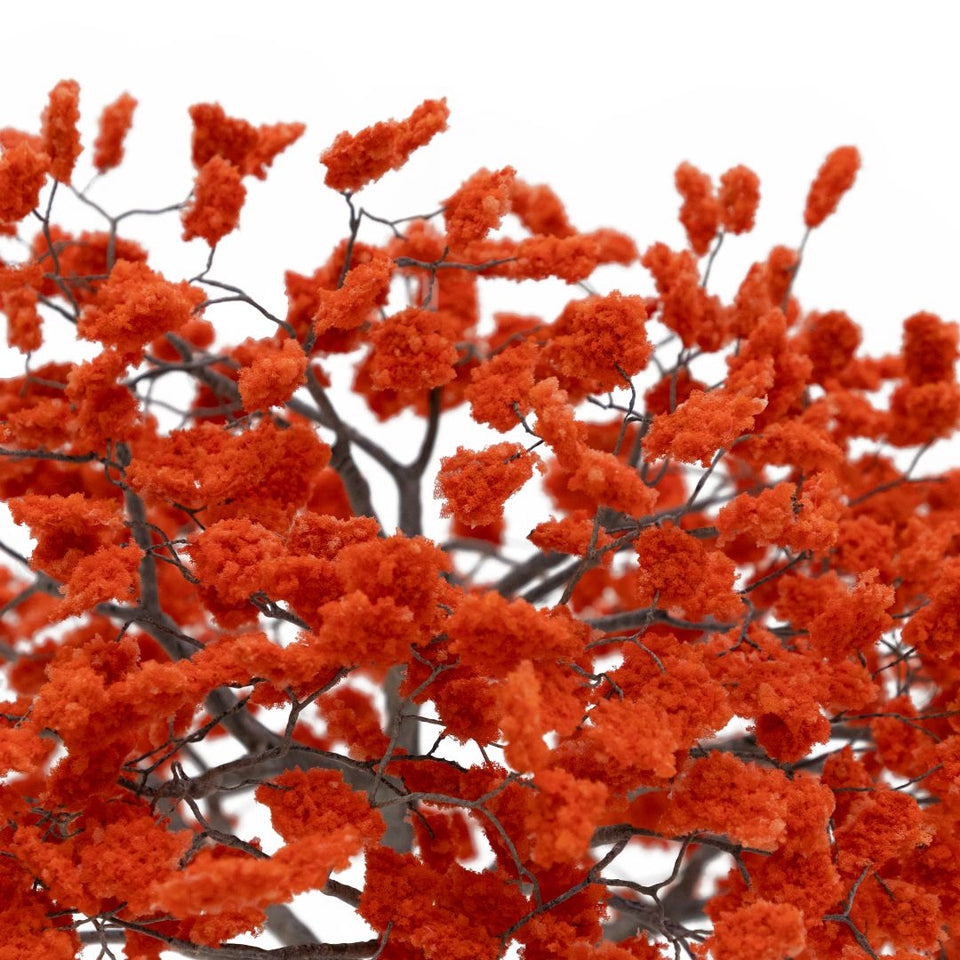 Metamorfosis de las ramas caídas (vermelho)