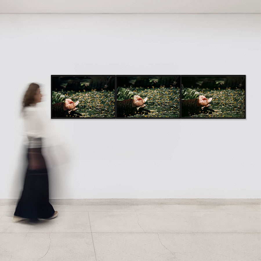 Victoria Regia 14 from the Flora series