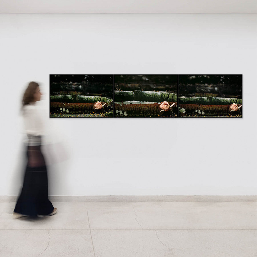 Victoria Regia 13 from the Flora series