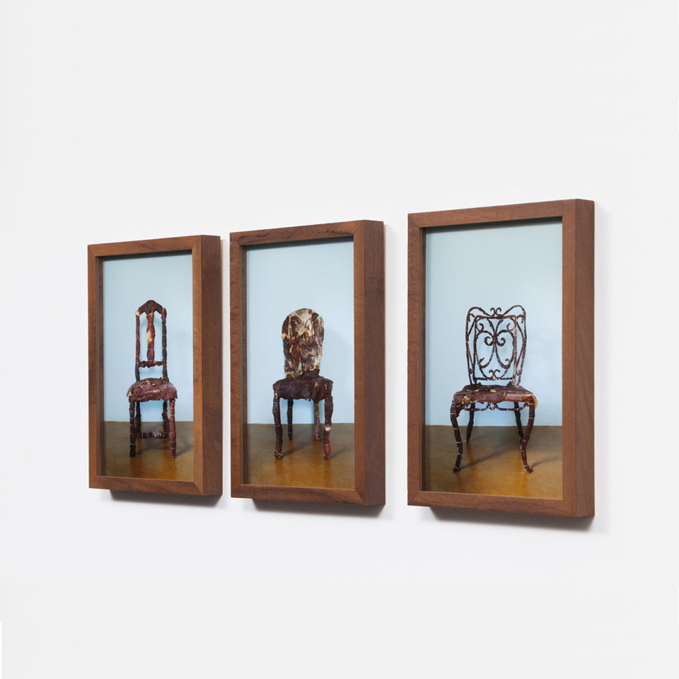 Adriana Varejão, elegia mineira