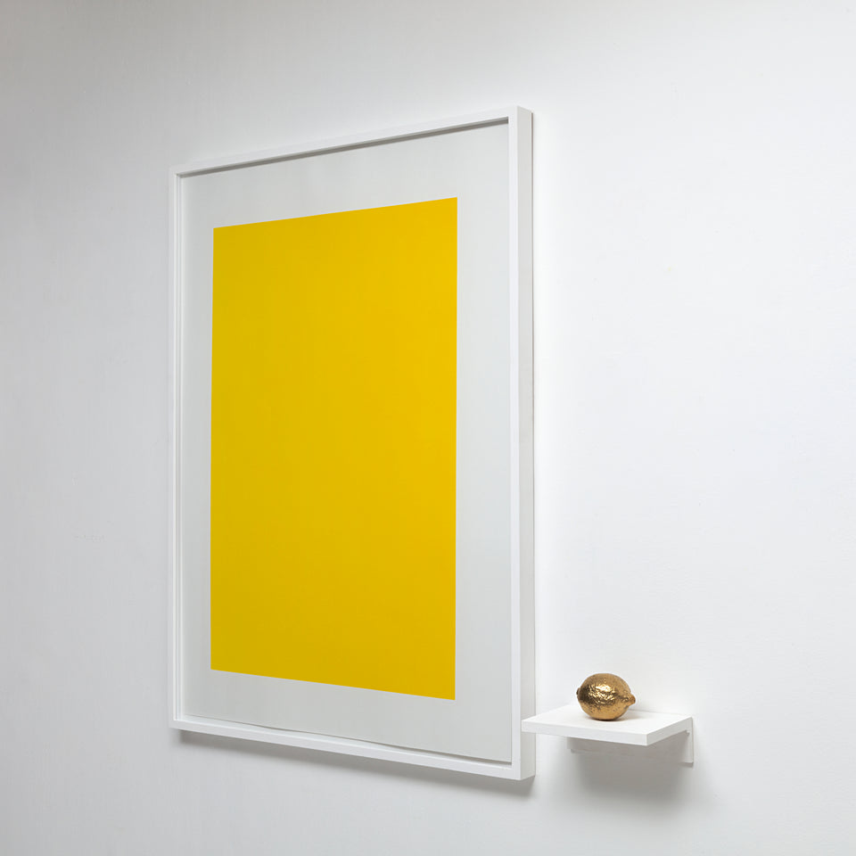 carlos nunes, objeto acrômico (limão)