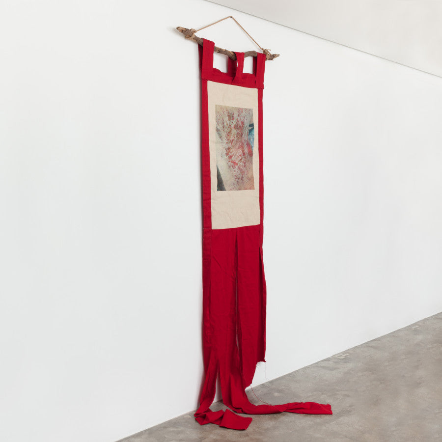 Homenagem às Chagas