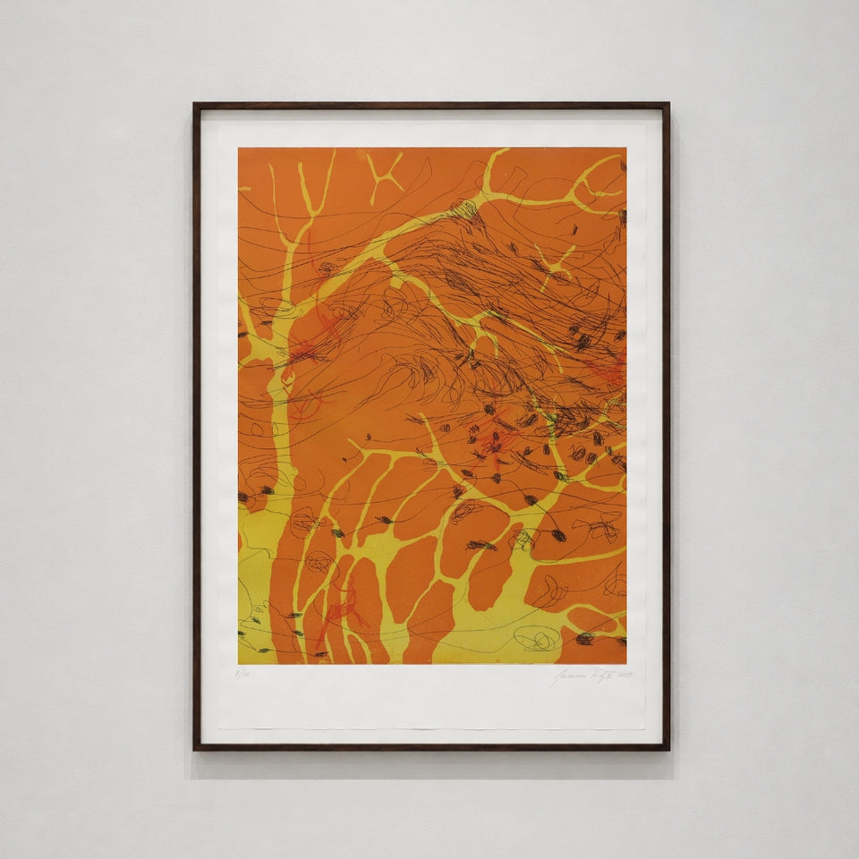 Variation for landscape