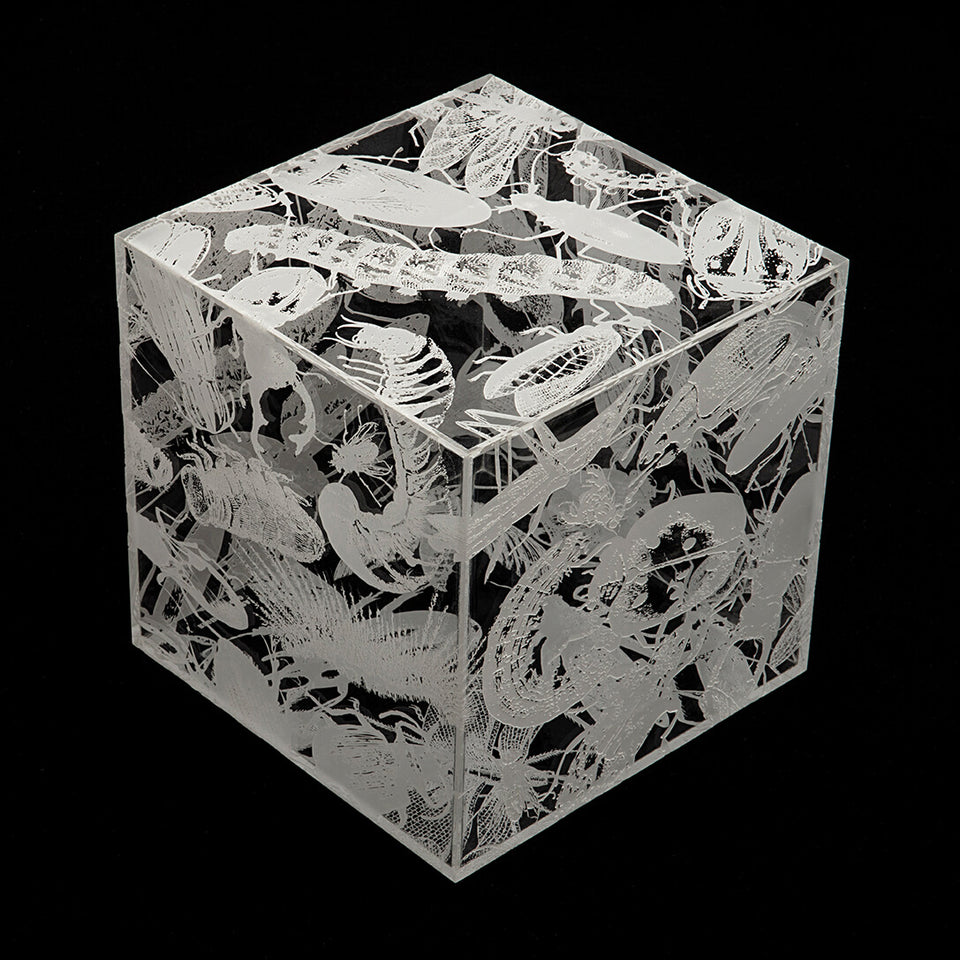 Regina Silveira, NINHO (white)