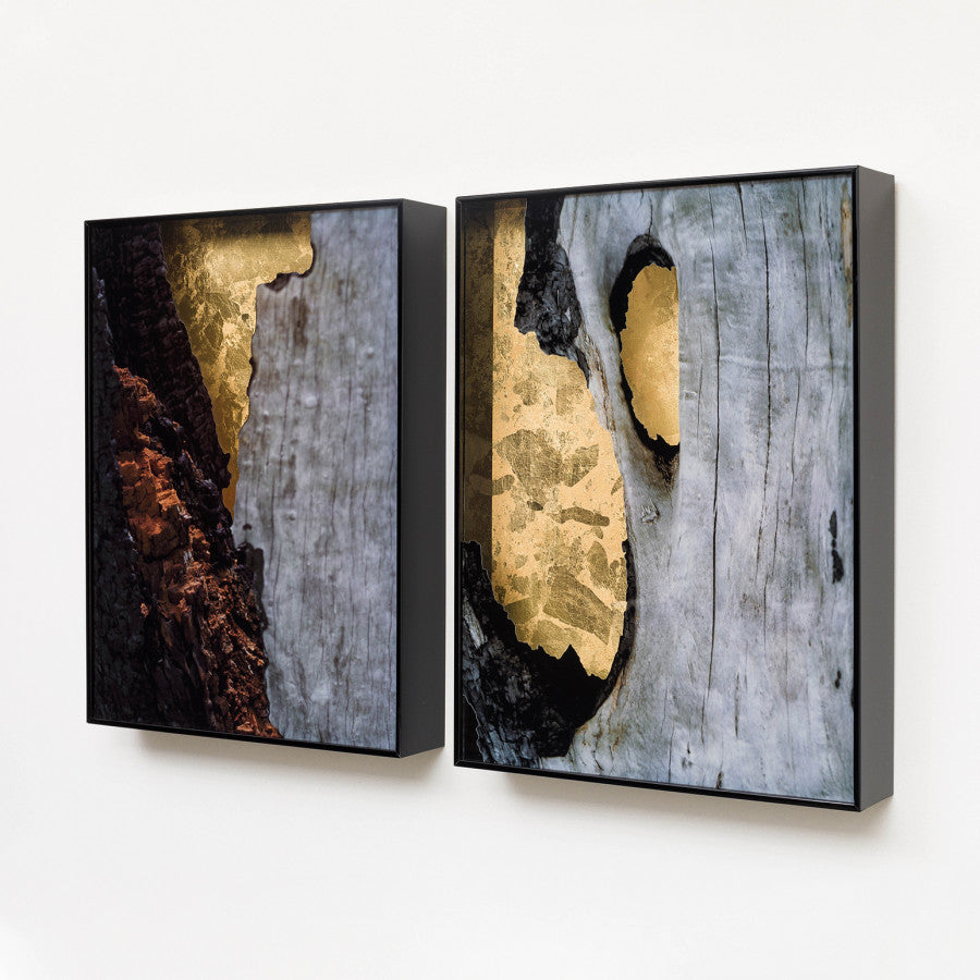 Untitled (diptych)