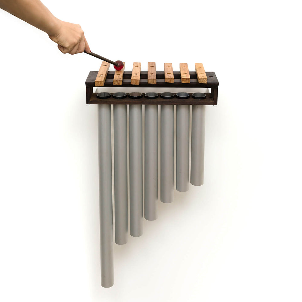 Não deixe o samba morrer | Felippe Moraes