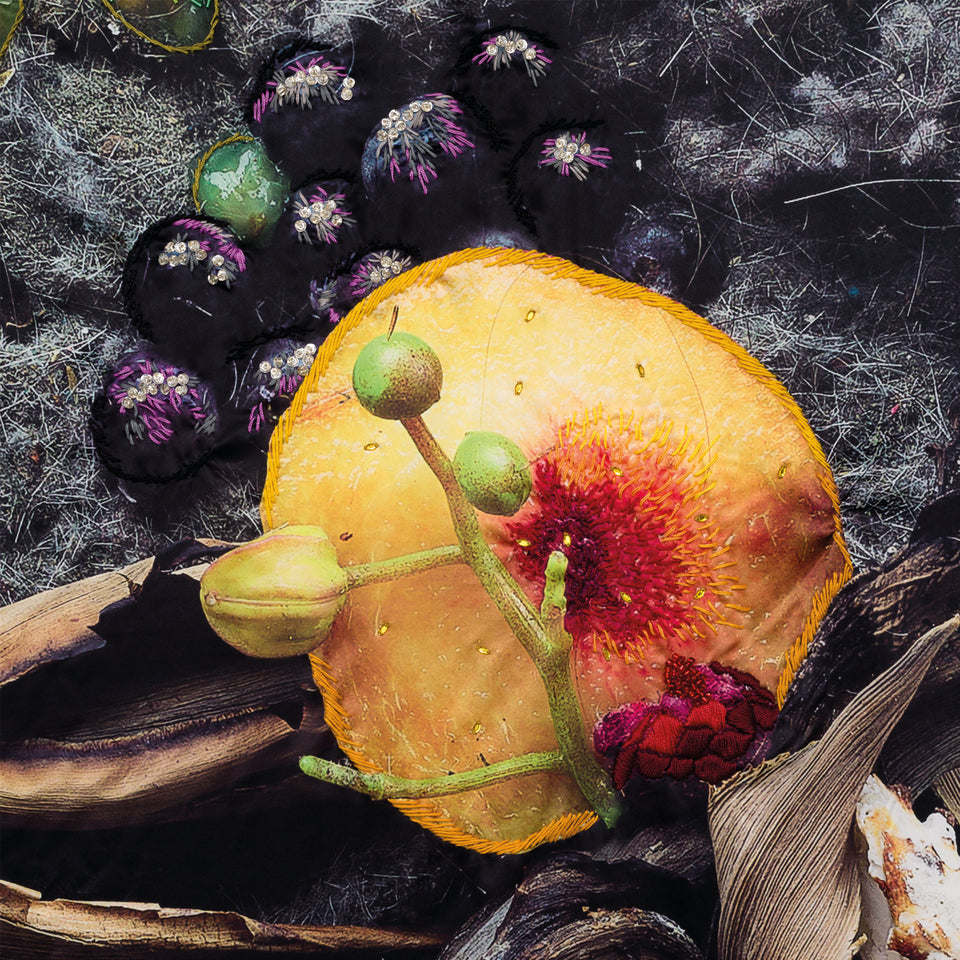 Mariana Palma - Pêssego