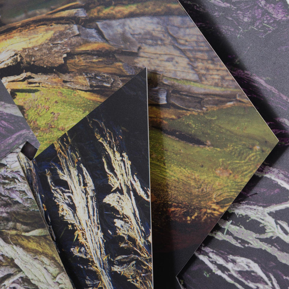 Sem título, Carlos Vergara