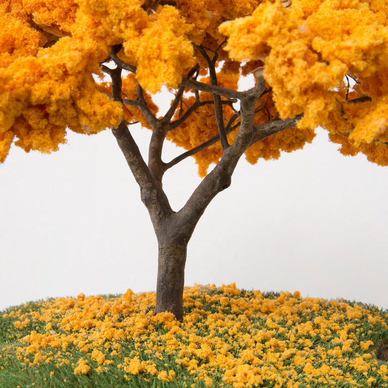 Jorge Mayet, Sem título