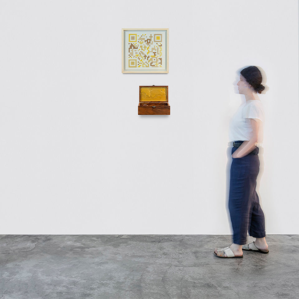 Projeto polinização - Siri