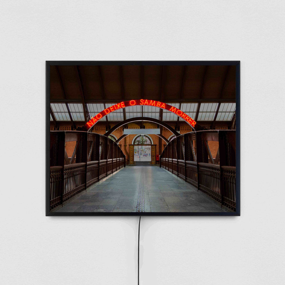 Não Deixe o Samba Morrer/Acabar, da série Samba Exaltação