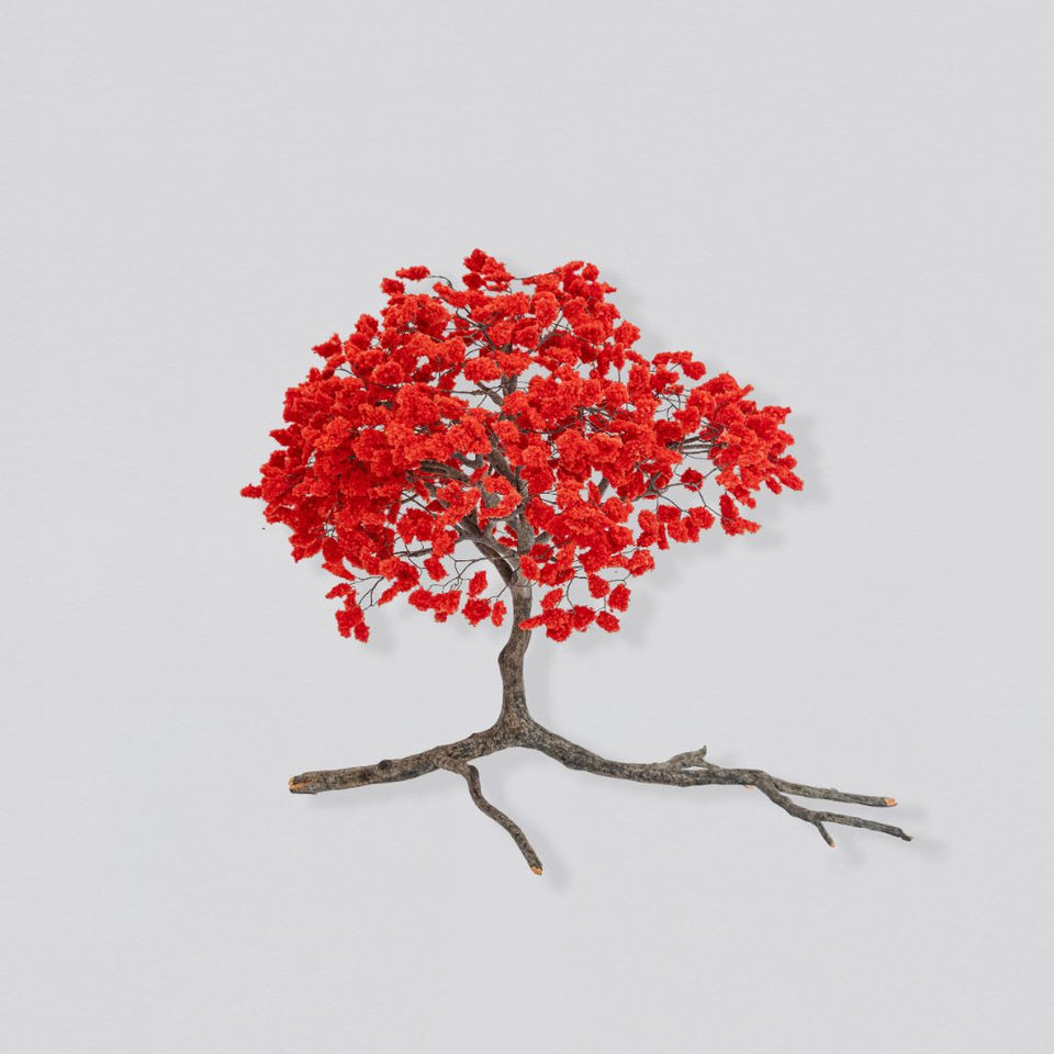 Metamorfosis de las ramas caídas (vermelho)