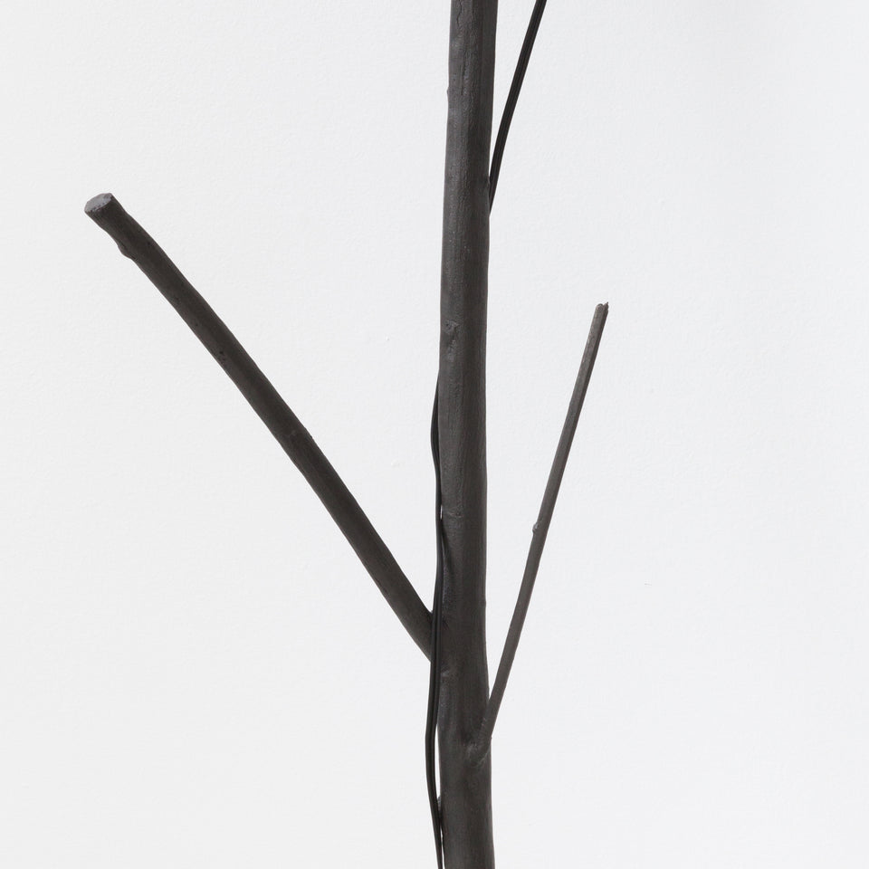 Daniel Senise, Luminária Parque Lage