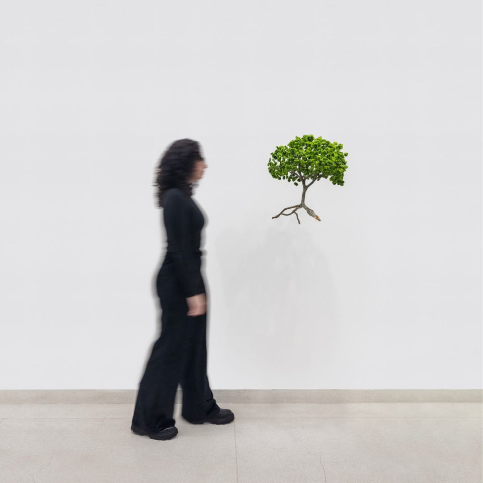 Metamorfosis de las ramas caídas (verde)