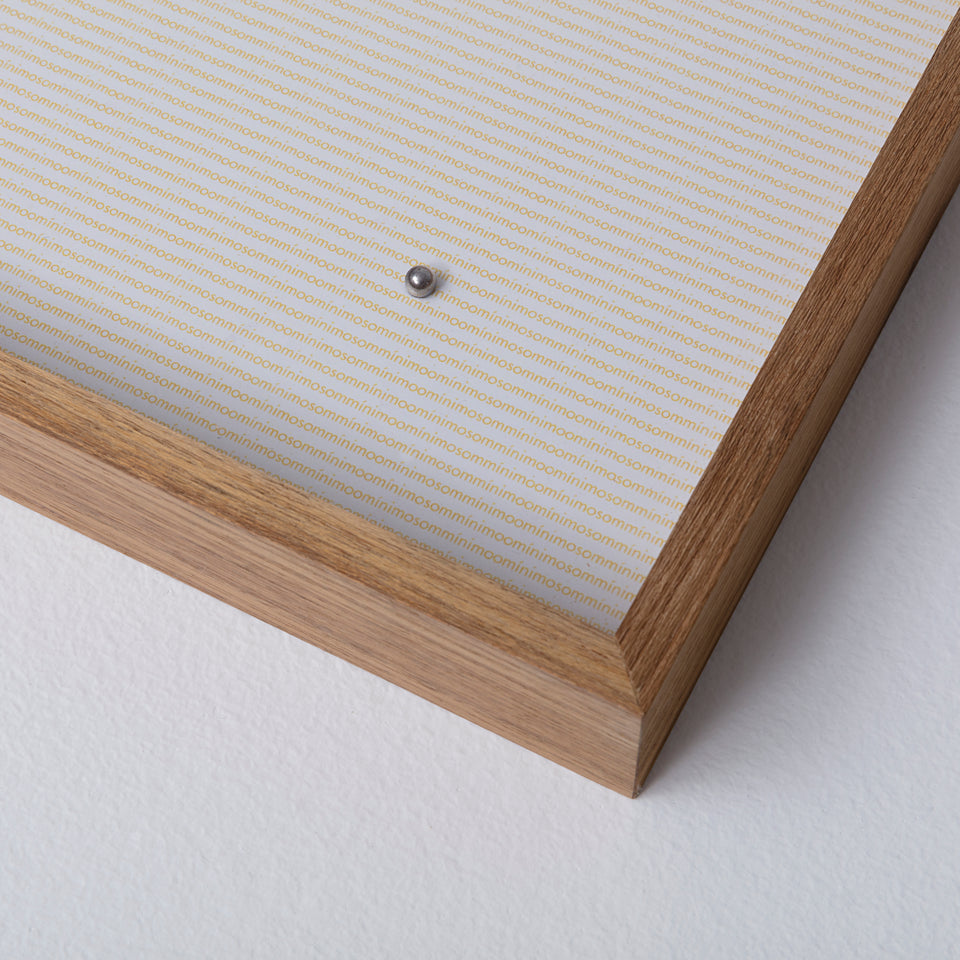 Lenora de Barros, Mínimo Som